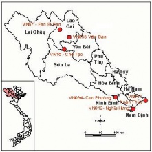 Chương III KHU VỰC TÂY BẮC VIỆT NAM